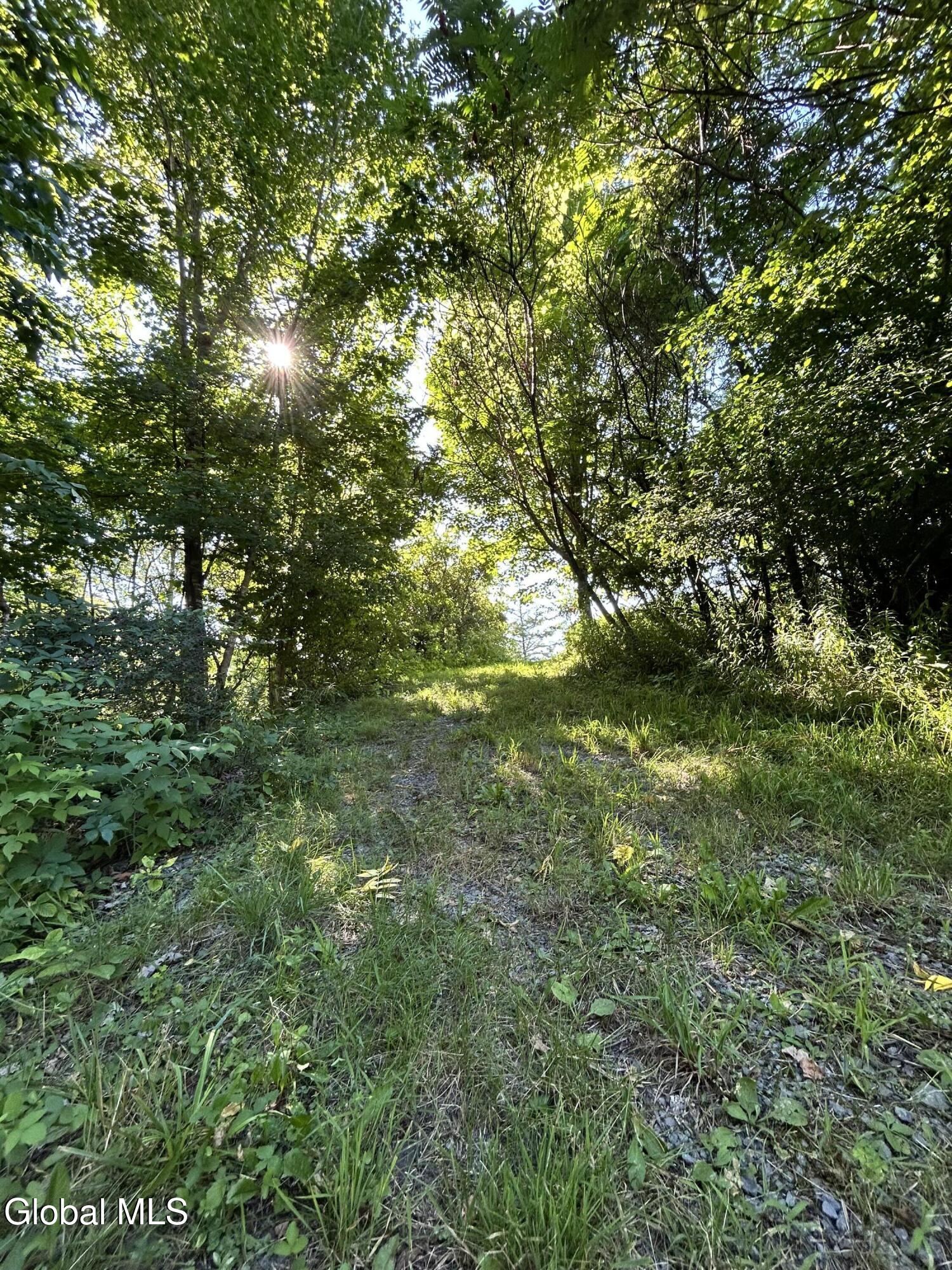 468 Myers Road Howes Cave, NY 12092 - Photo 6 of 45 IMG_0229