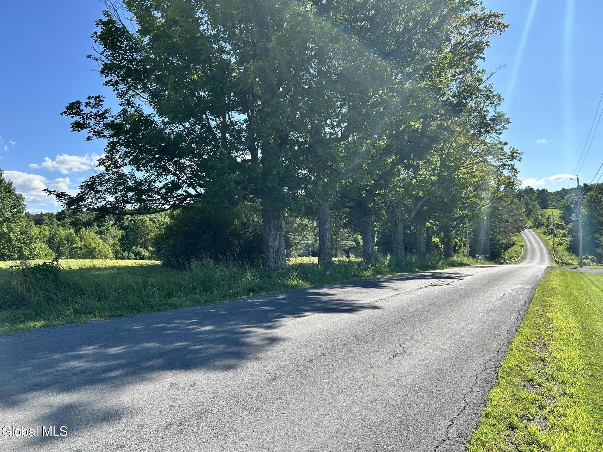 468 Myers Road Howes Cave, NY 12092 - Photo 7 of 45 IMG_0236