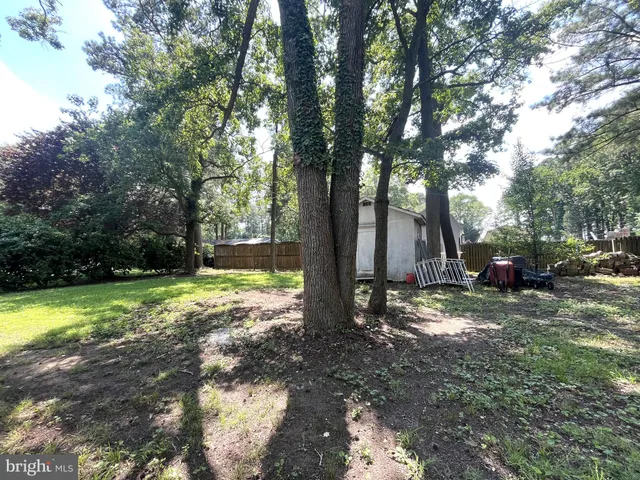 a view of a backyard with large trees