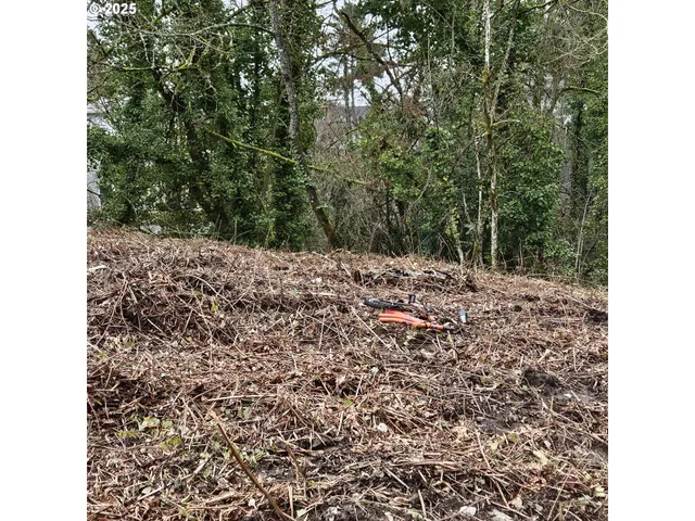a view of a yard with a tree