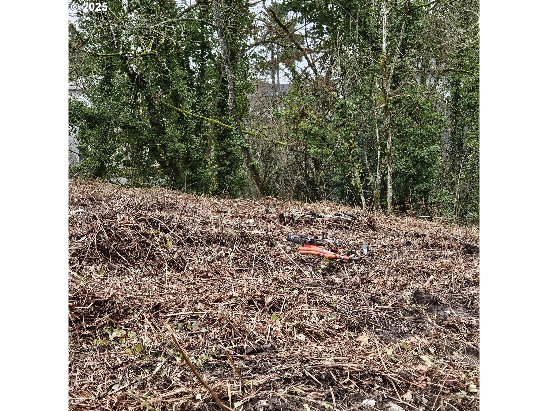 3rd Street, Unit 2 Newberg, OR 97132 - Photo 4 of 5 a view of a yard with a tree