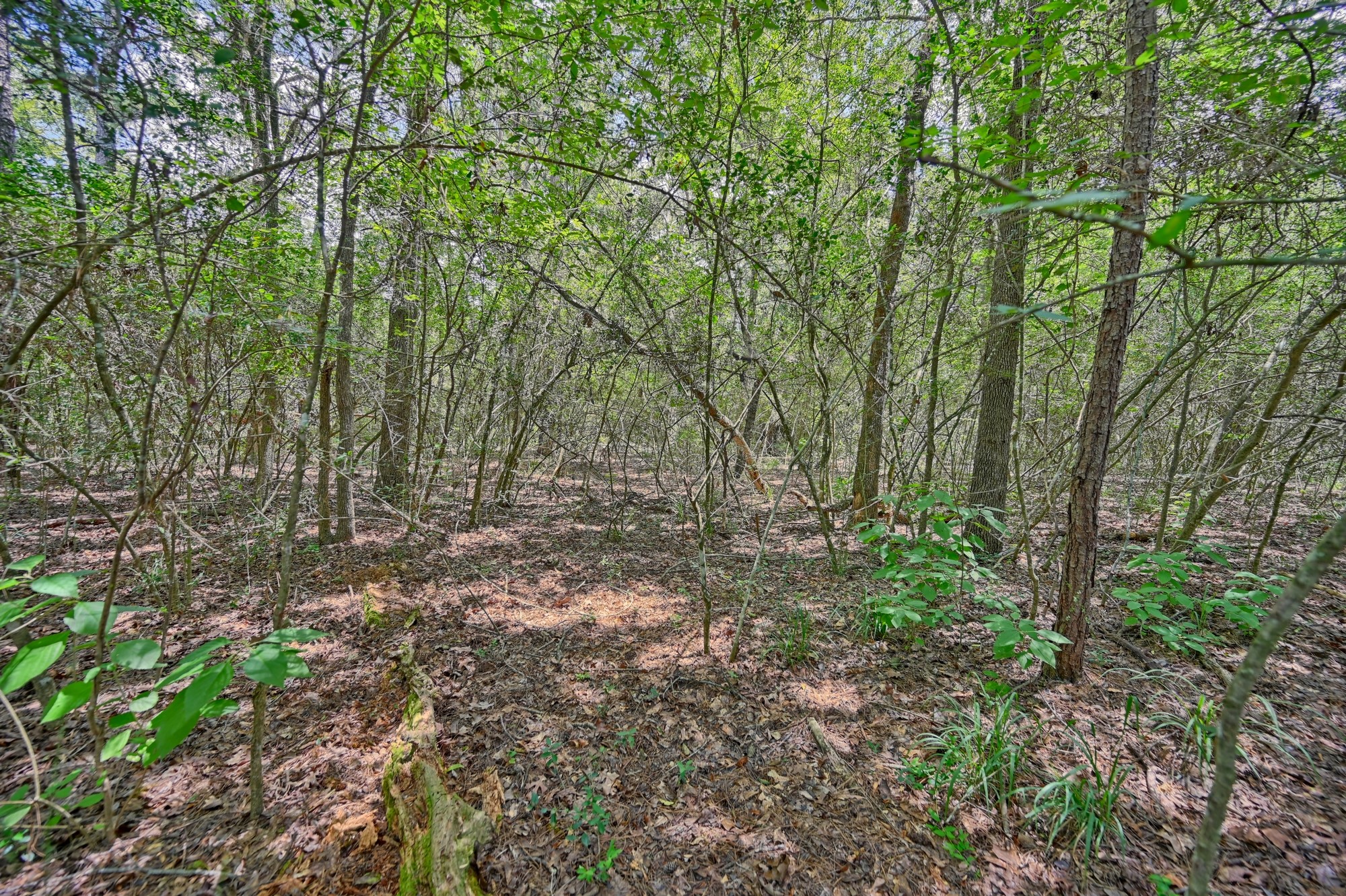 16893 Whippoorwill Road Navasota, TX 77868 - Photo 28 of 31