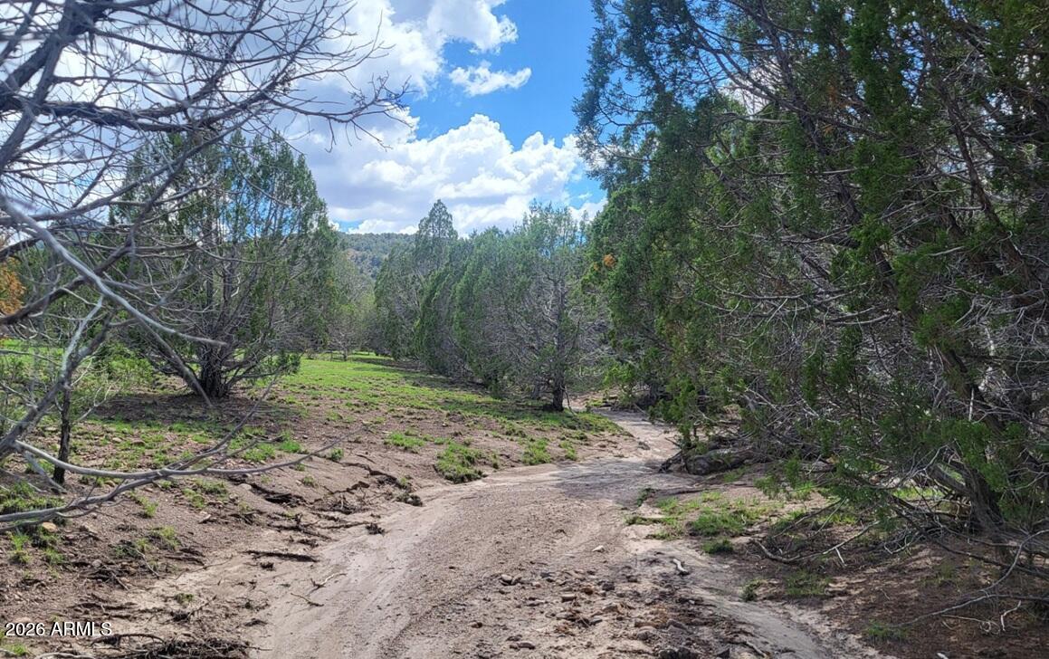 111 North Ranch Road, Unit 111 Williams, AZ 86046 - Photo 1 of 20 f41a8003-658a-41ff-a158-c7d9e7ad6a50