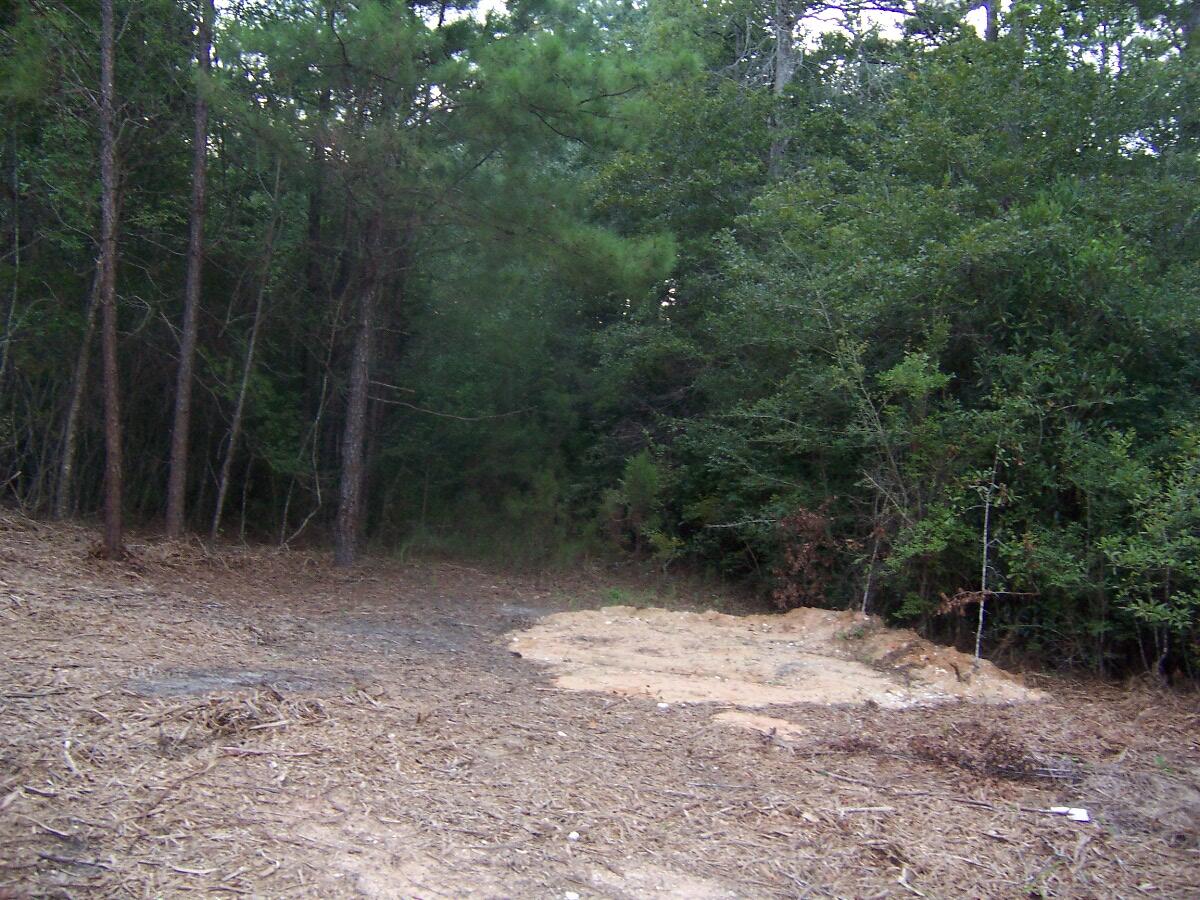 40-ac Cooks Mill Road Bonifay, FL 32425 - Photo 14 of 30 a view of a forest with trees in the background