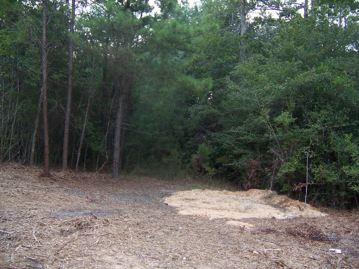 40-ac Cooks Mill Road Bonifay, FL 32425 - Photo 15 of 30 a view of a yard
