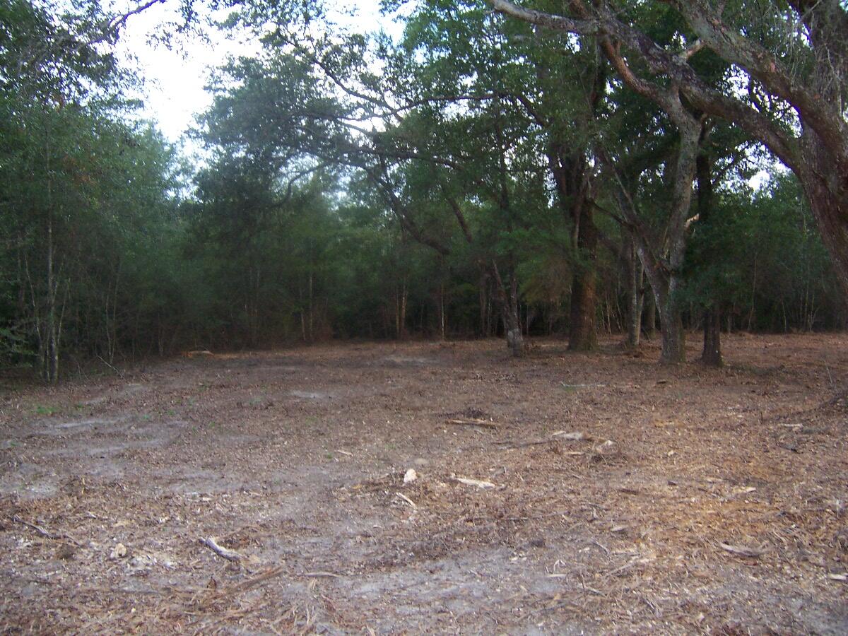 40-ac Cooks Mill Road Bonifay, FL 32425 - Photo 16 of 30 a view of outdoor space with trees