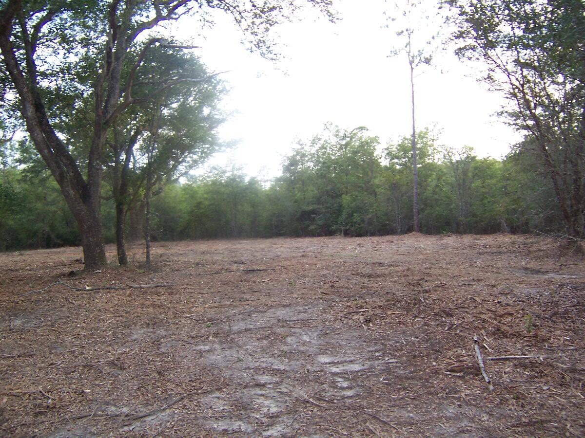 40-ac Cooks Mill Road Bonifay, FL 32425 - Photo 18 of 30 a view of a backyard