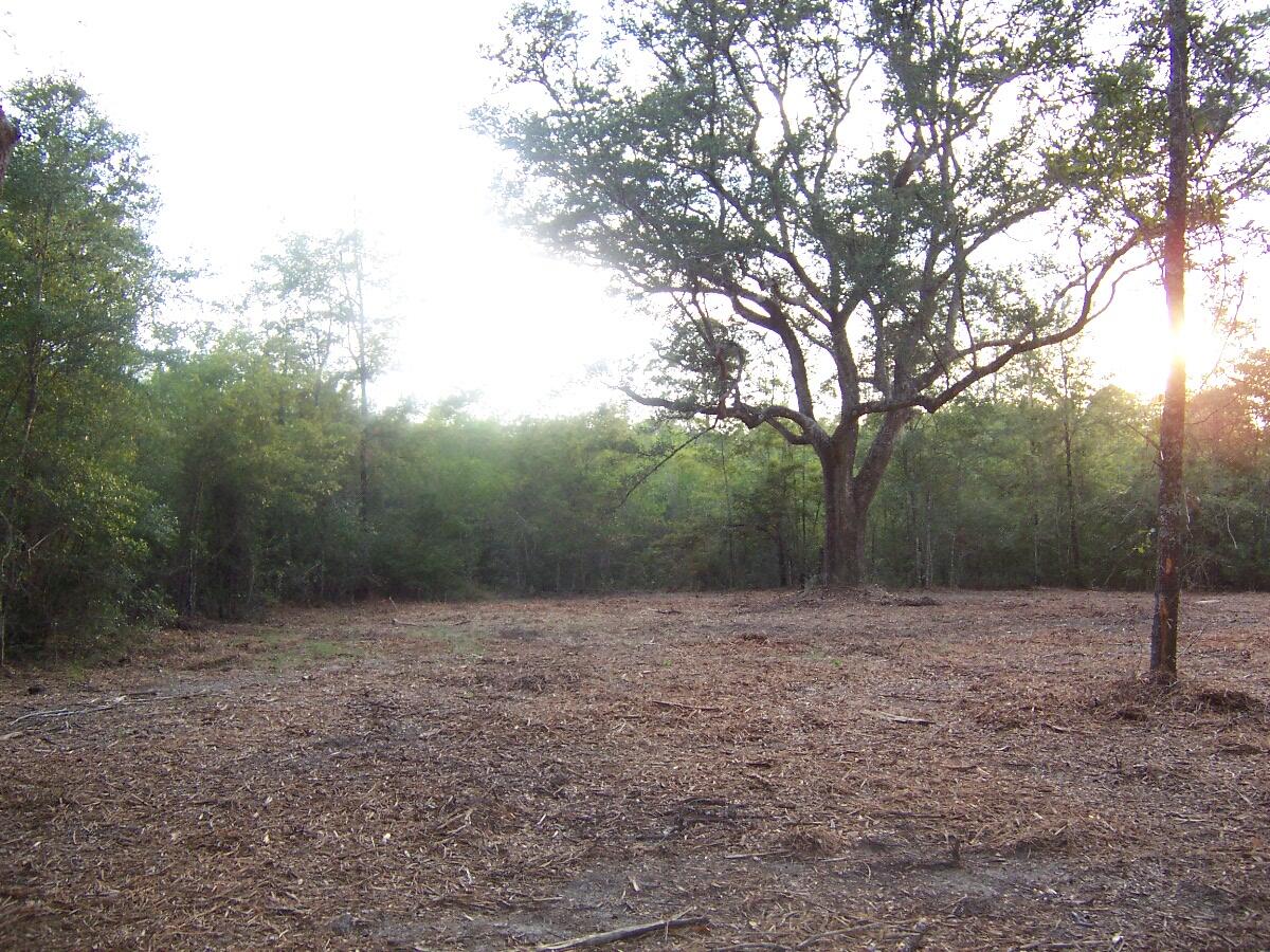 40-ac Cooks Mill Road Bonifay, FL 32425 - Photo 22 of 30 a view of outdoor space