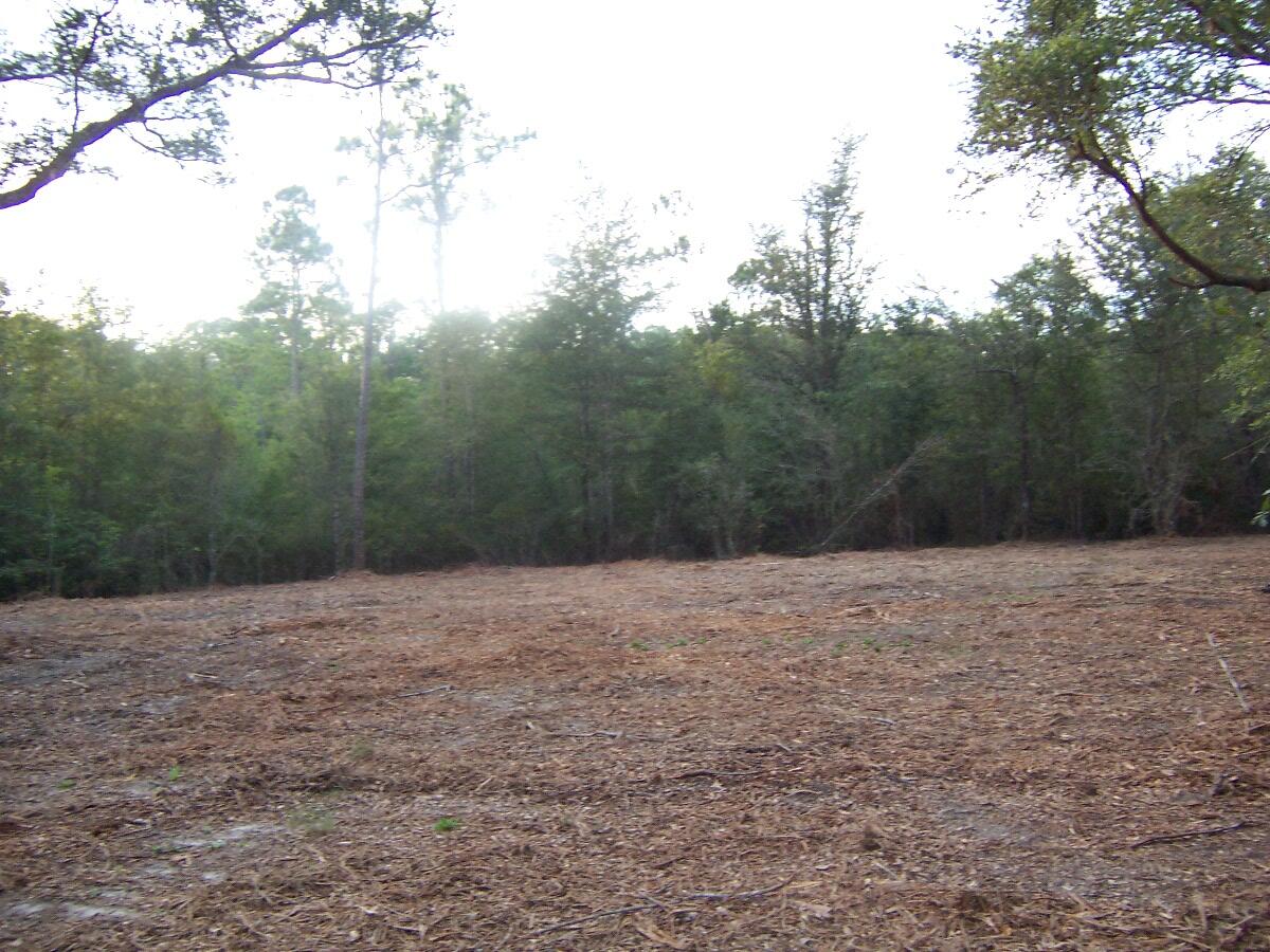 40-ac Cooks Mill Road Bonifay, FL 32425 - Photo 24 of 30 a view of empty field with trees