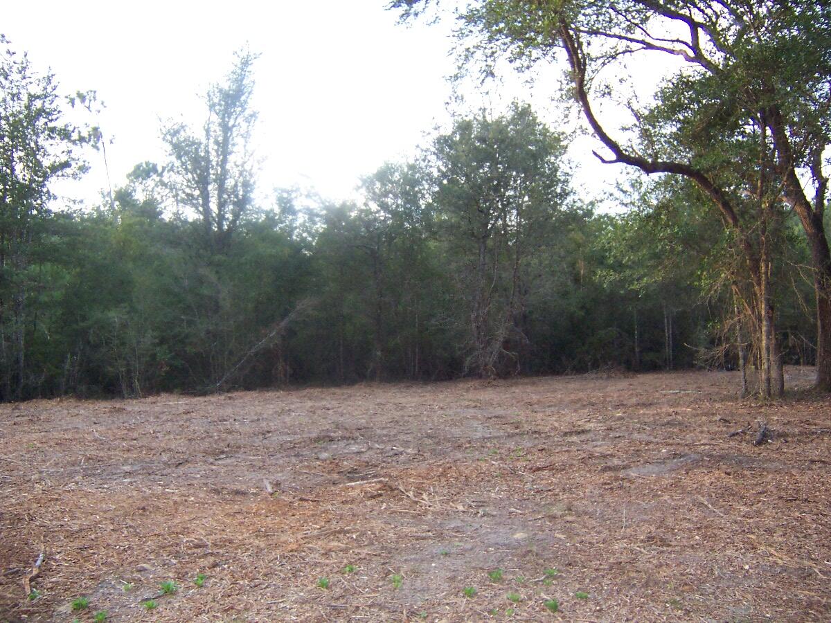 40-ac Cooks Mill Road Bonifay, FL 32425 - Photo 26 of 30 a view of empty room with trees