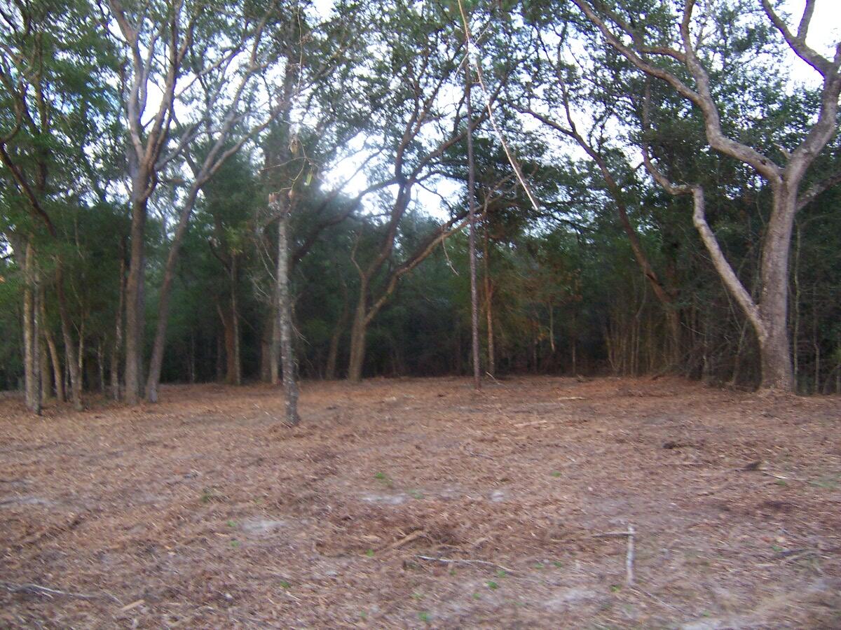 40-ac Cooks Mill Road Bonifay, FL 32425 - Photo 30 of 30 a view of backyard with trees