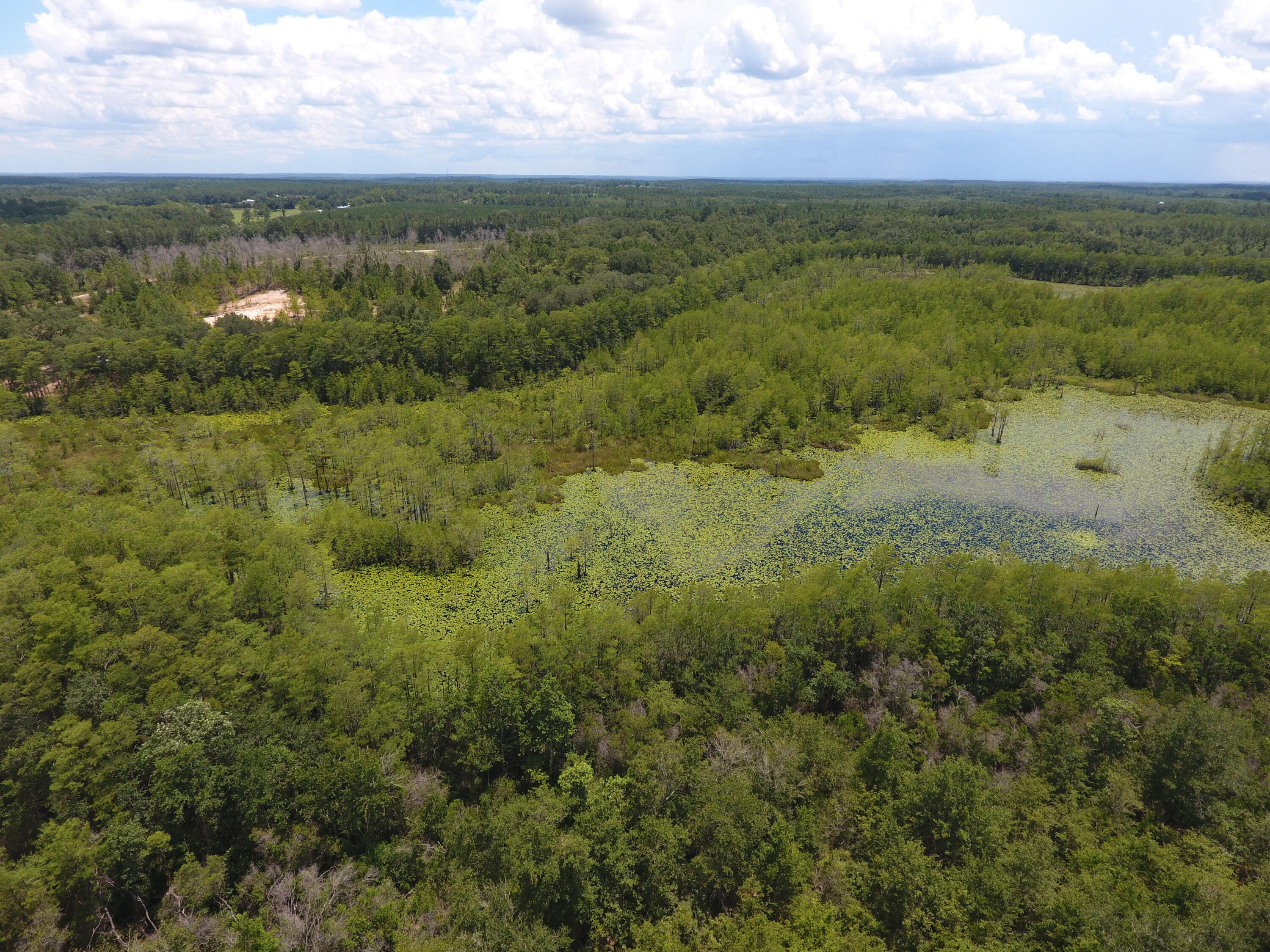 40-ac Cooks Mill Road Bonifay, FL 32425 - Photo 6 of 30 a view of a green field with lots of bushes