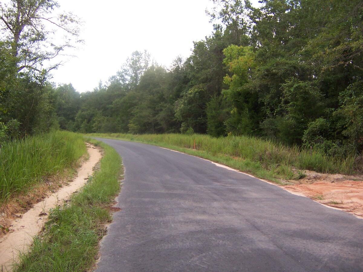 40-ac Cooks Mill Road Bonifay, FL 32425 - Photo 10 of 30 a view of a road with a yard and a large trees