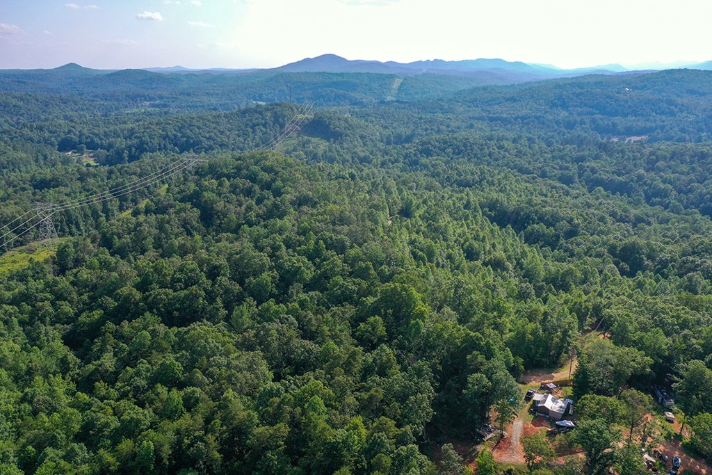 0 Daves Valley Road Pickens, SC 29671 - Photo 2 of 5