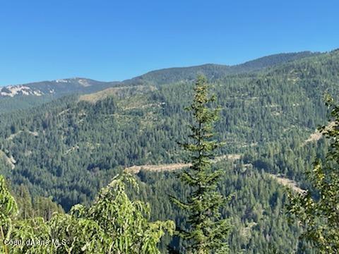 34.38 Acres Road Wallace, ID 83873 - Photo 23 of 37 IMG_0912