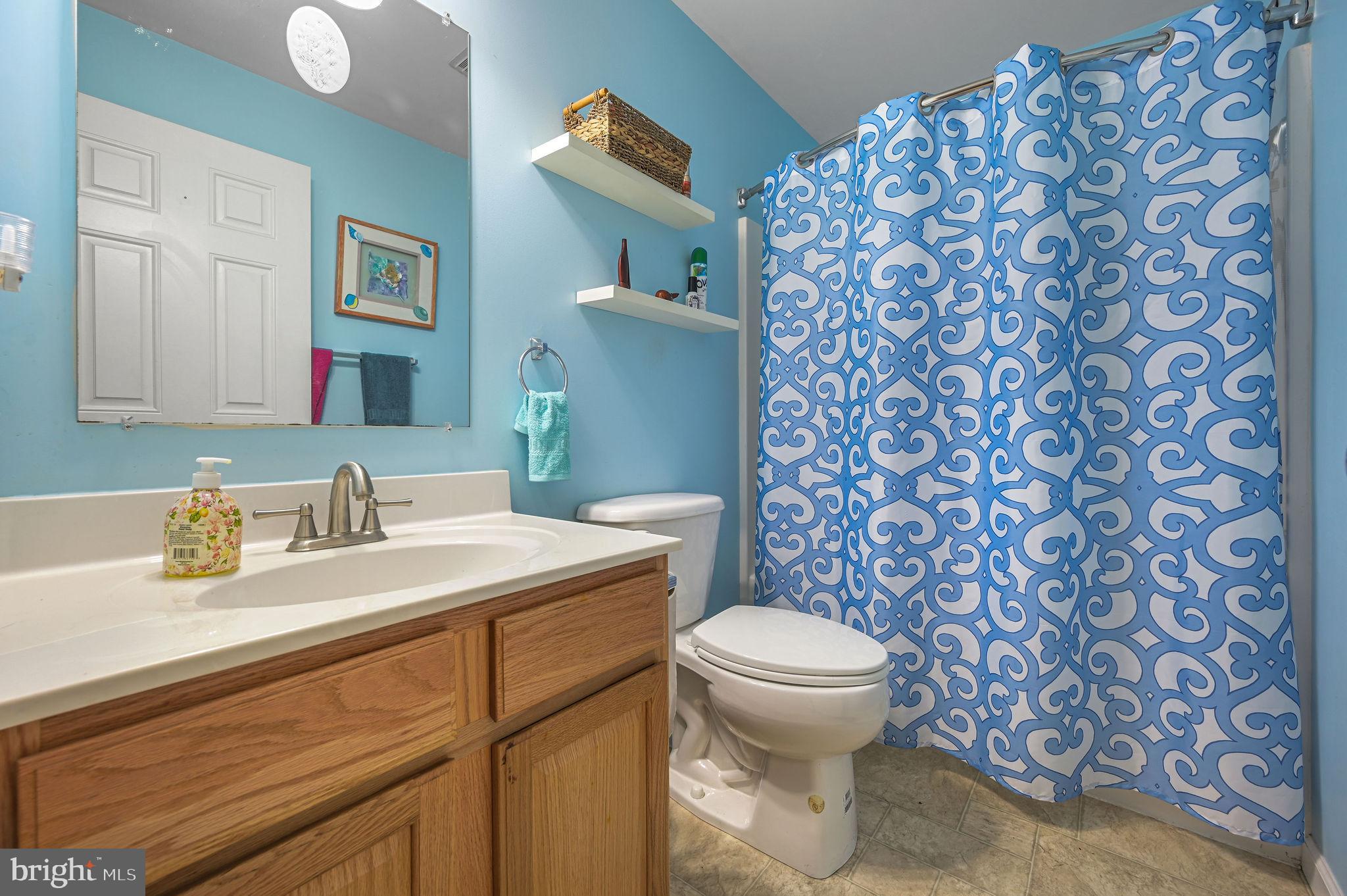 850 Arthursville Road Hartly, DE 19953 - Photo 32 of 35 a bathroom with a sink and a toilet