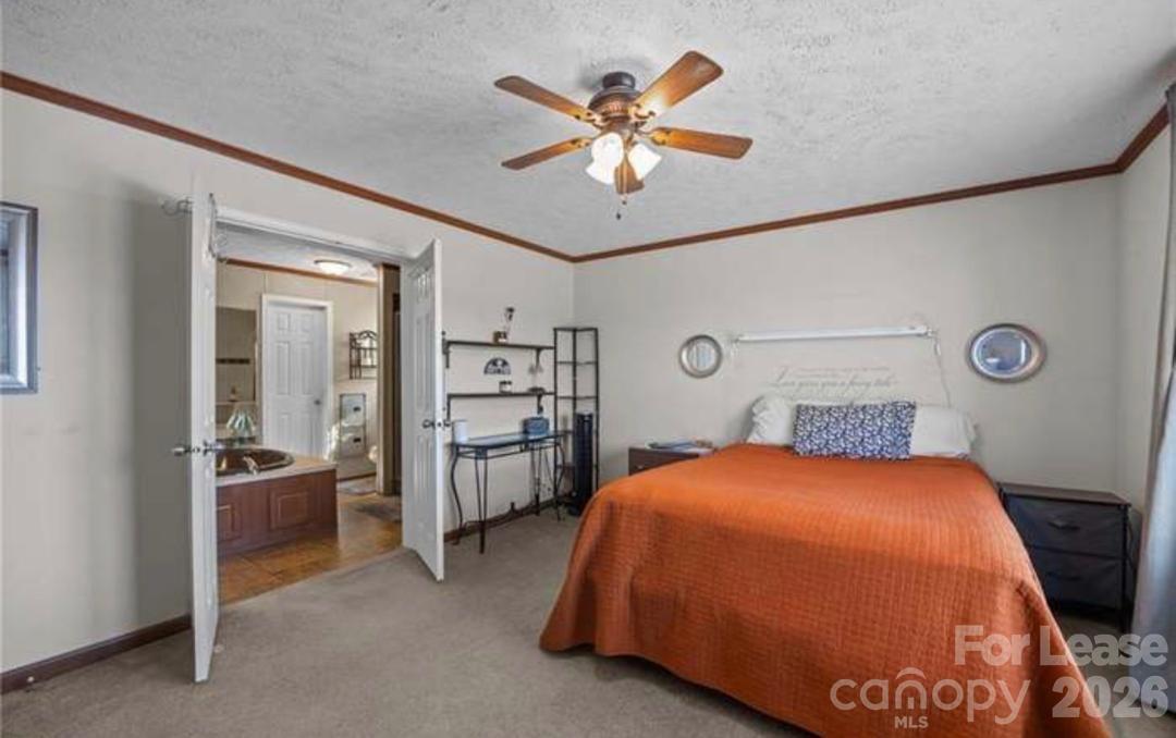 4362 County Home Road Blanch, NC 27212 - Photo 7 of 11
