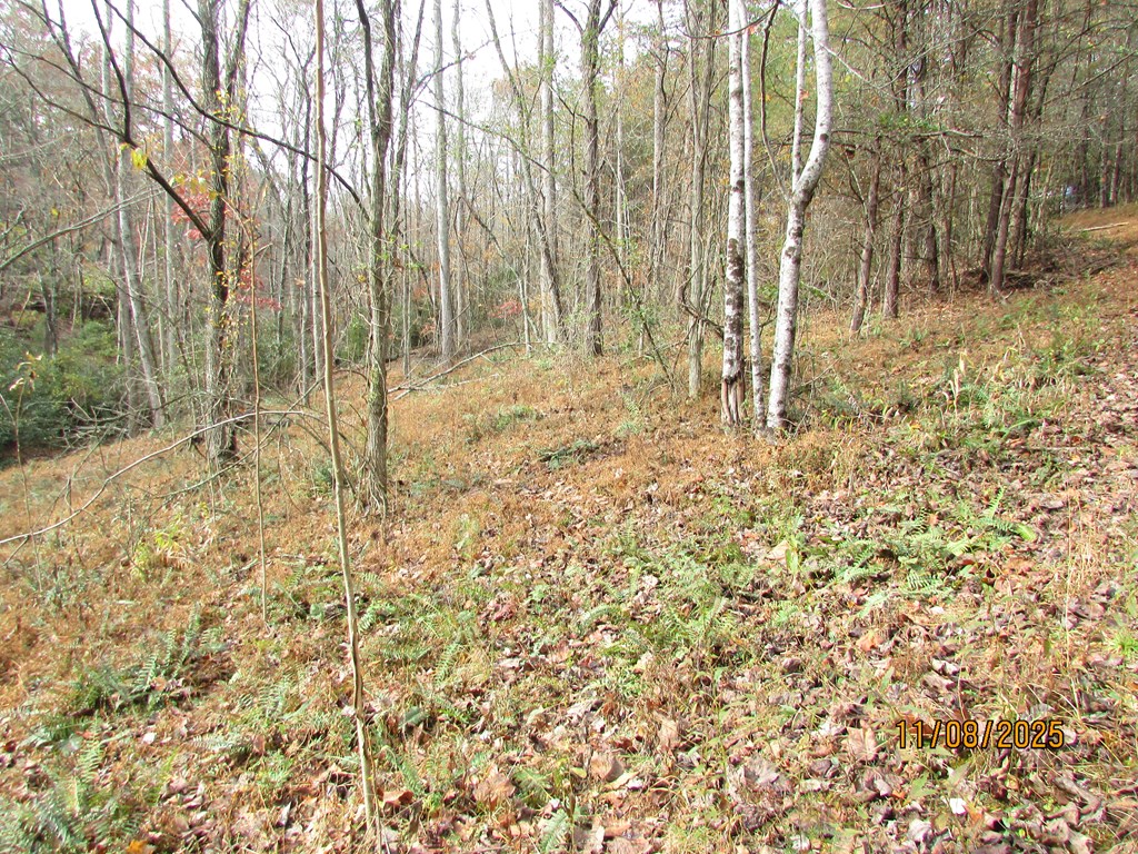 6 Wikle Road Hayesville, NC 28904 - Photo 11 of 19 Gallery Image 11