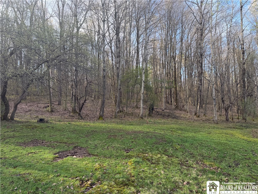 8305 Jordan Hill Road Clarksville, NY 14715 - Photo 11 of 28