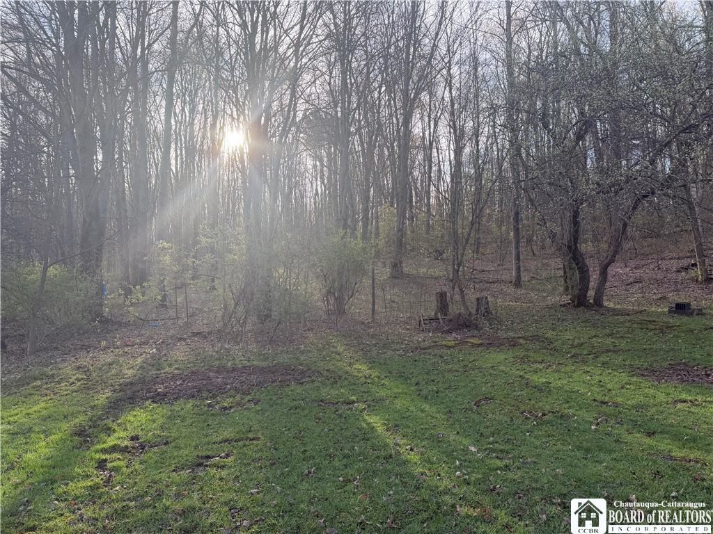 8305 Jordan Hill Road Clarksville, NY 14715 - Photo 12 of 28