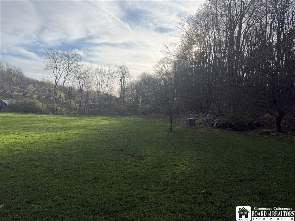 8305 Jordan Hill Road Clarksville, NY 14715 - Photo 13 of 28