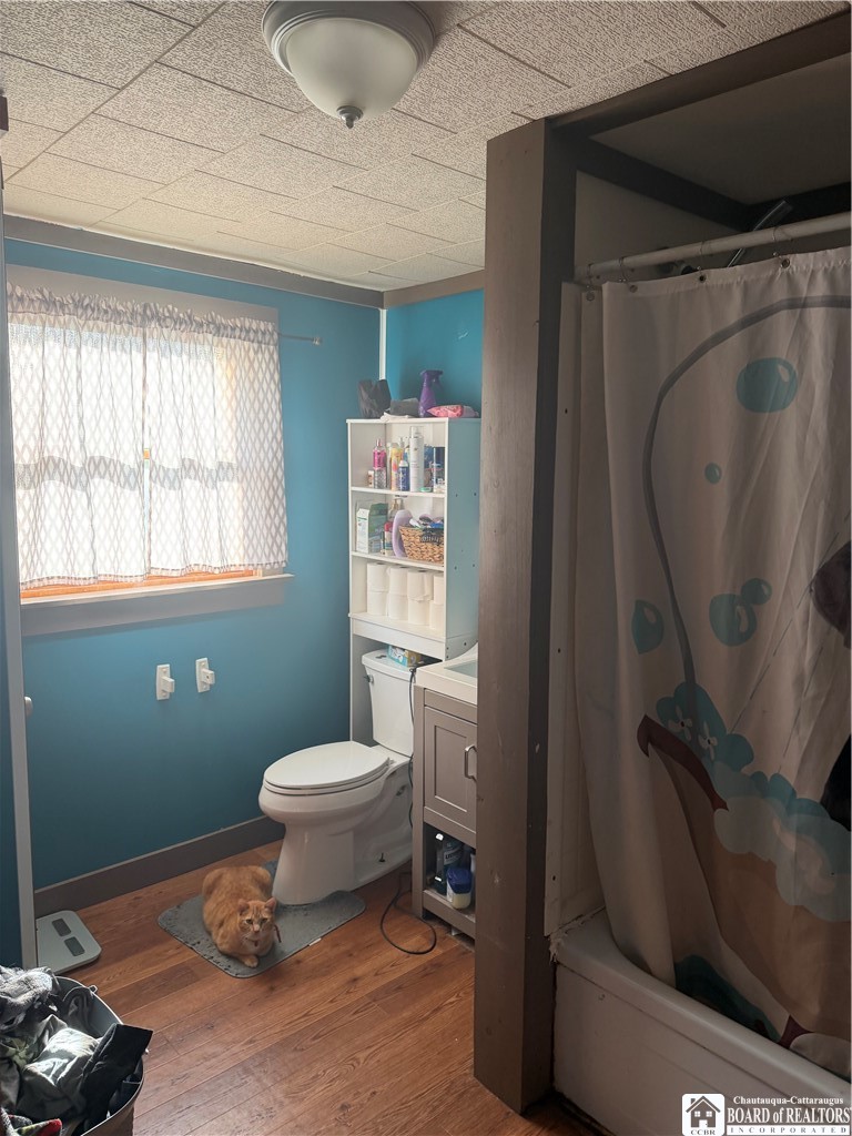 8305 Jordan Hill Road Clarksville, NY 14715 - Photo 20 of 28