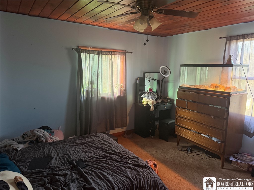 8305 Jordan Hill Road Clarksville, NY 14715 - Photo 23 of 28