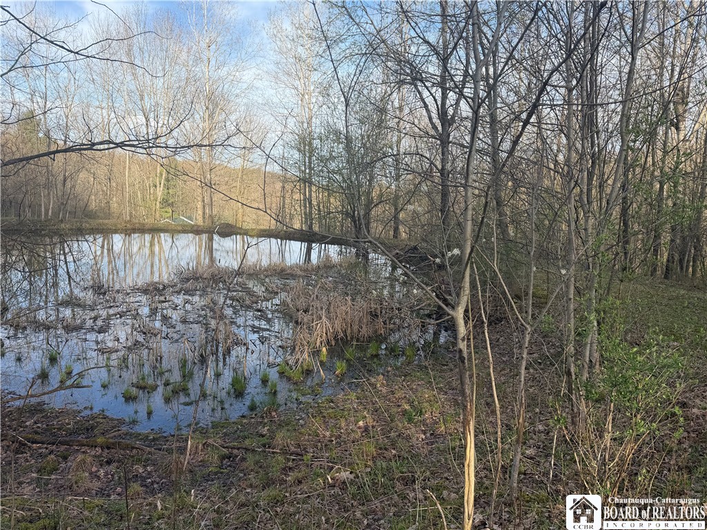 8305 Jordan Hill Road Clarksville, NY 14715 - Photo 9 of 28