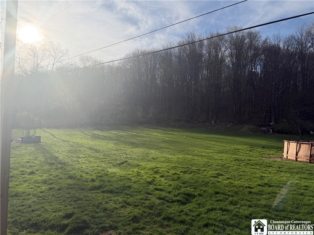 8305 Jordan Hill Road Clarksville, NY 14715 - Photo 10 of 28