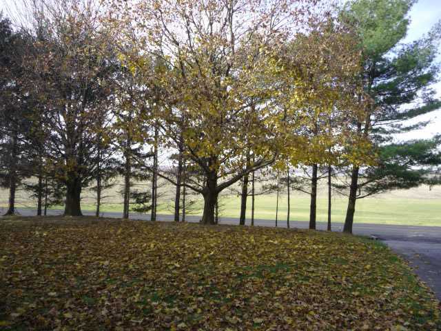 3120 Election House Road Northwest Lancaster, OH 43130 - Photo 2 of 18