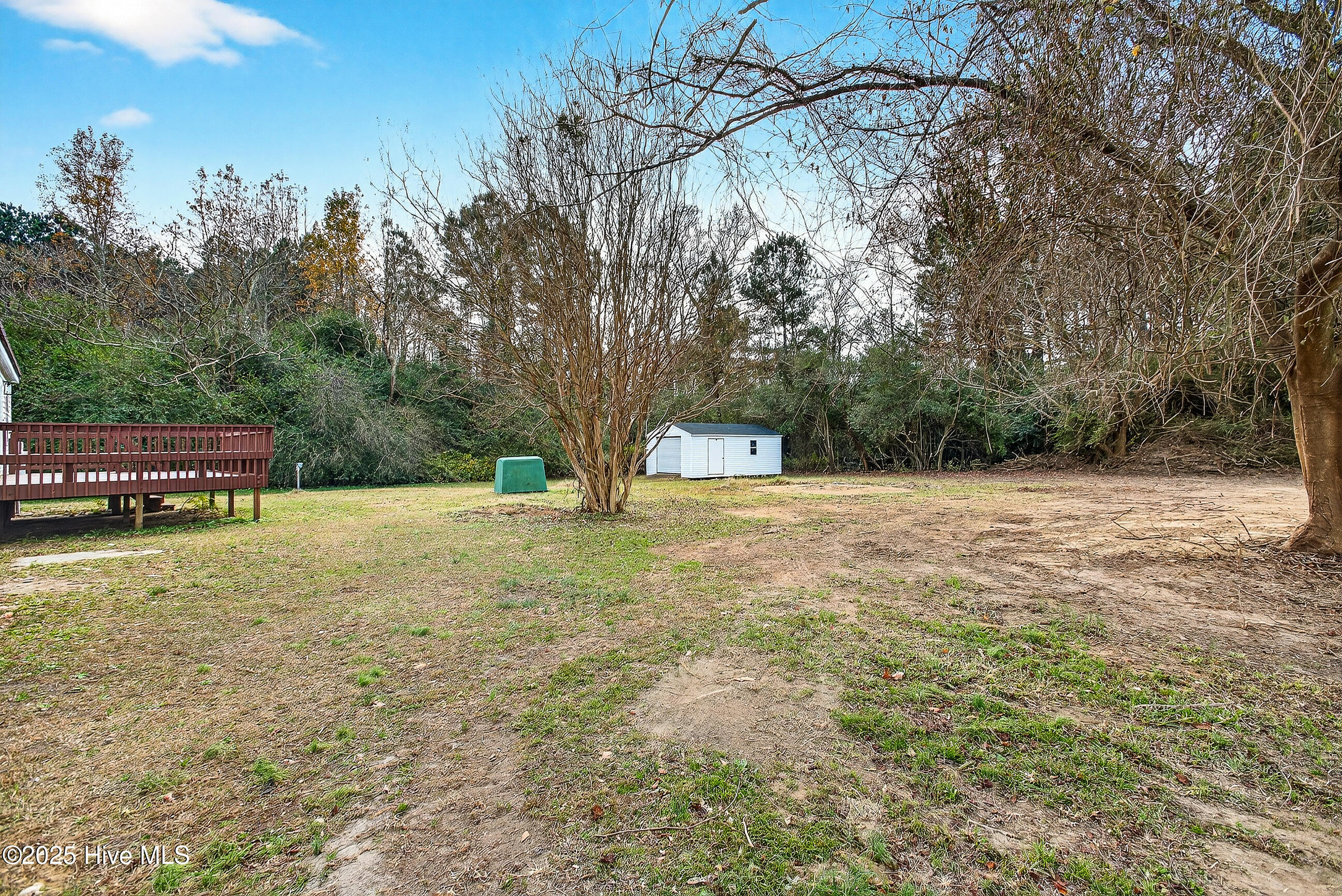 1500 Kader Merritt Road Rose Hill, NC 28458 - Photo 33 of 43 Backyard