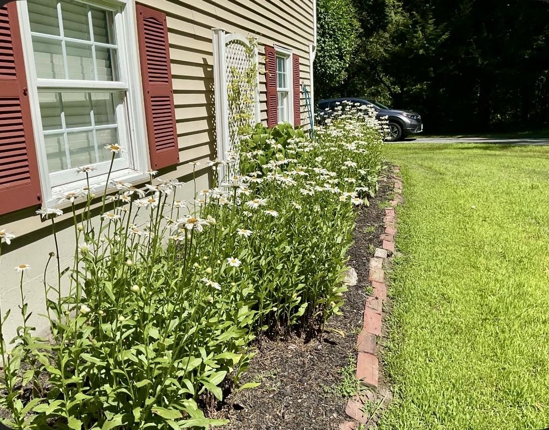 125 Nashua Road Bedford, NH 03110 - Photo 6 of 55