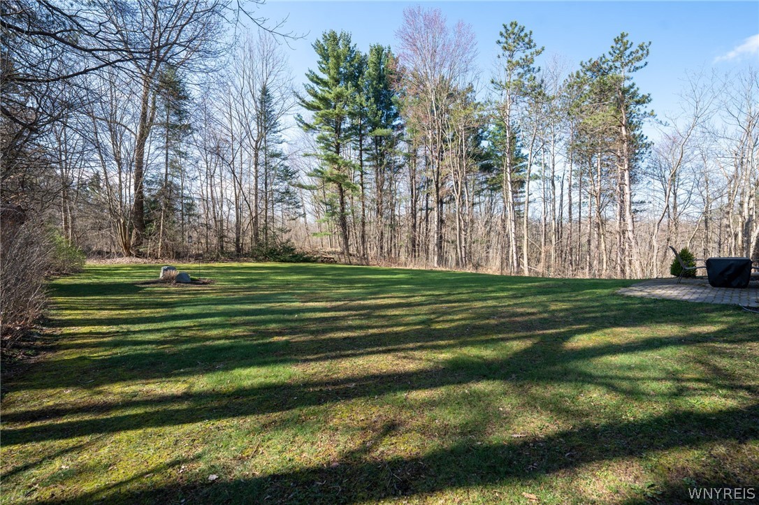 3220 Ransom Road Elma, NY 14086 - Photo 45 of 50