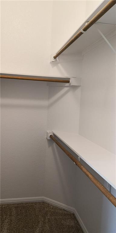 12006 Hispania Court Austin, TX 78727 - Photo 7 of 13 a close up view of racks on the wall