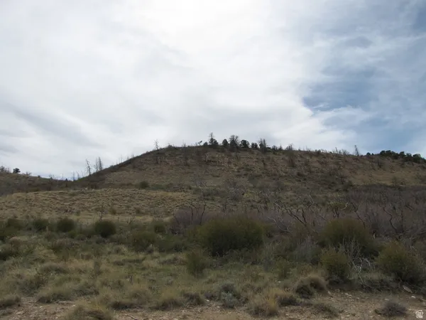 $37,500 | St, Unit 238, Fruitland, UT 84027