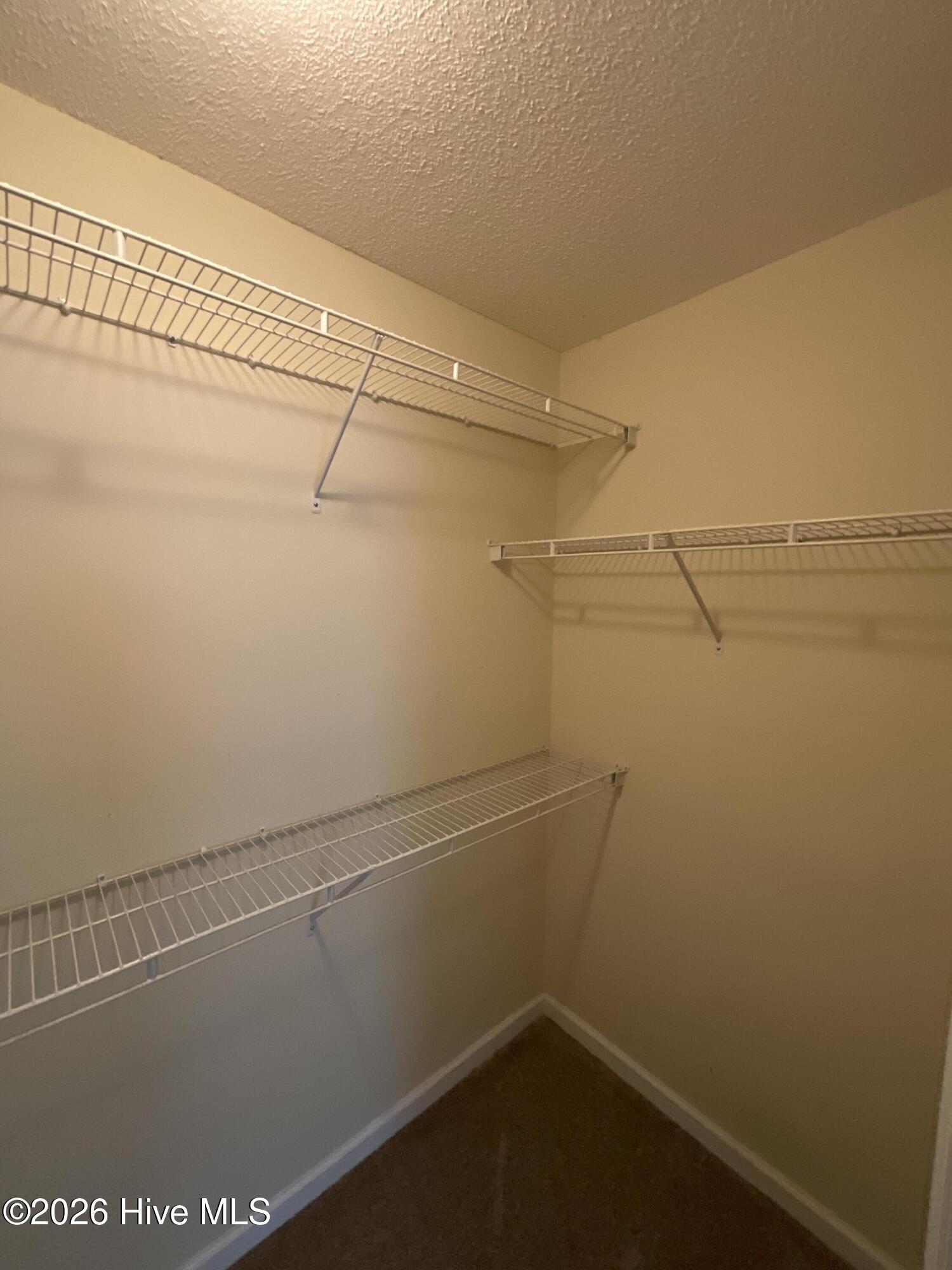 567 Cranberry Circle Grovetown, GA 30813 - Photo 19 of 20 Primary Bedroom Closet