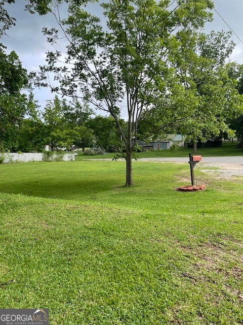 1779 Shirey Road Manchester, GA 31816 - Photo 25 of 27