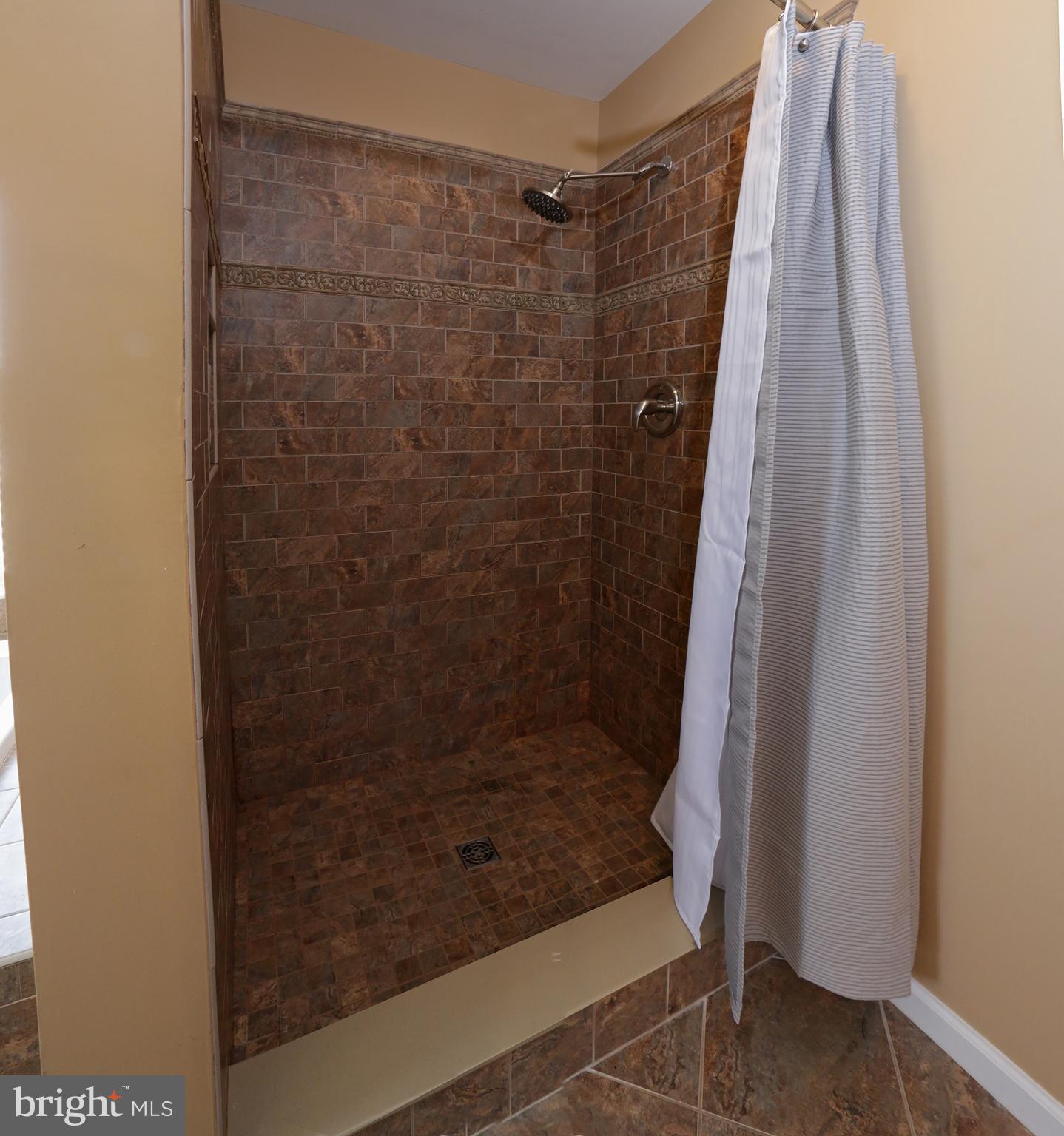 309 Bloomfield Drive Lititz, PA 17543 - Photo 31 of 50 Master bath tiled stall shower