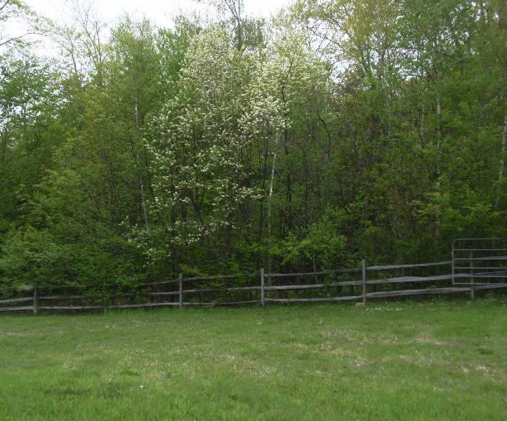 5 Smith Road Sandisfield, MA 01255 - Photo 37 of 38 a view of outdoor space and deck