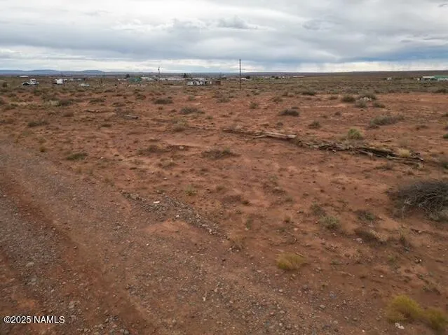 a view of a bunch of trees in a field