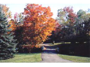 26 Gardner Road Vestal, NY 13850 - Photo 5 of 5 Gallery Image 5