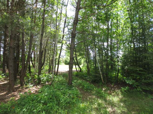 2170 Cth C Rhinelander, WI 54501 - Photo 10 of 13 Gallery Image 10