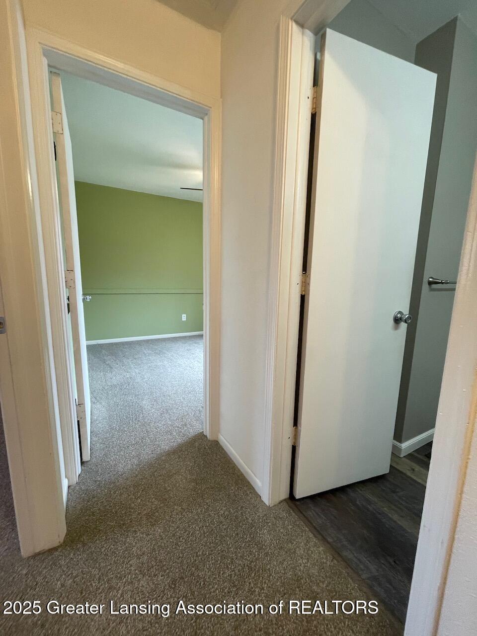 1734 Maple Ridge Road Haslett, MI 48840 - Photo 24 of 60 Hallway