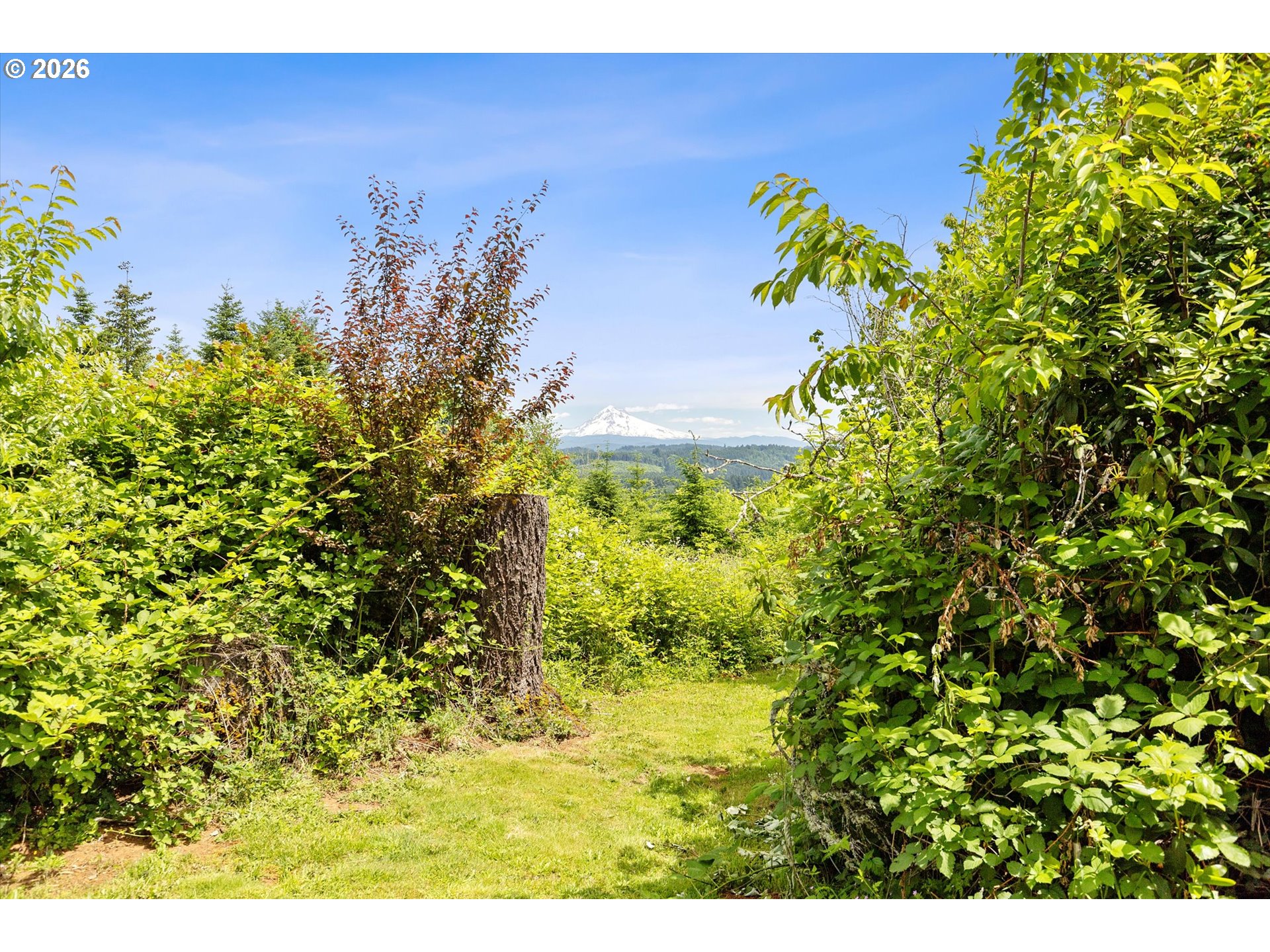 13800 Southeast Baumback Avenue Sandy, OR 97055 - Photo 27 of 40