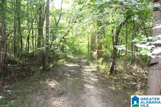 1 Benefield Gap Road Attalla, AL 35954 - Photo 10 of 50