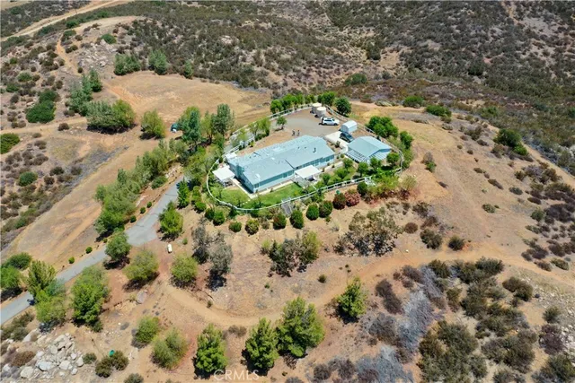 a view of outside plants