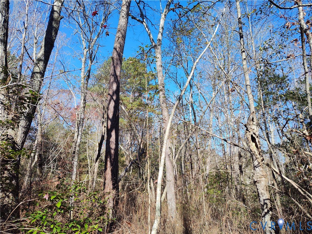 108.5-ac Buzzards Neck Road Lancaster, VA 22503 - Photo 41 of 50