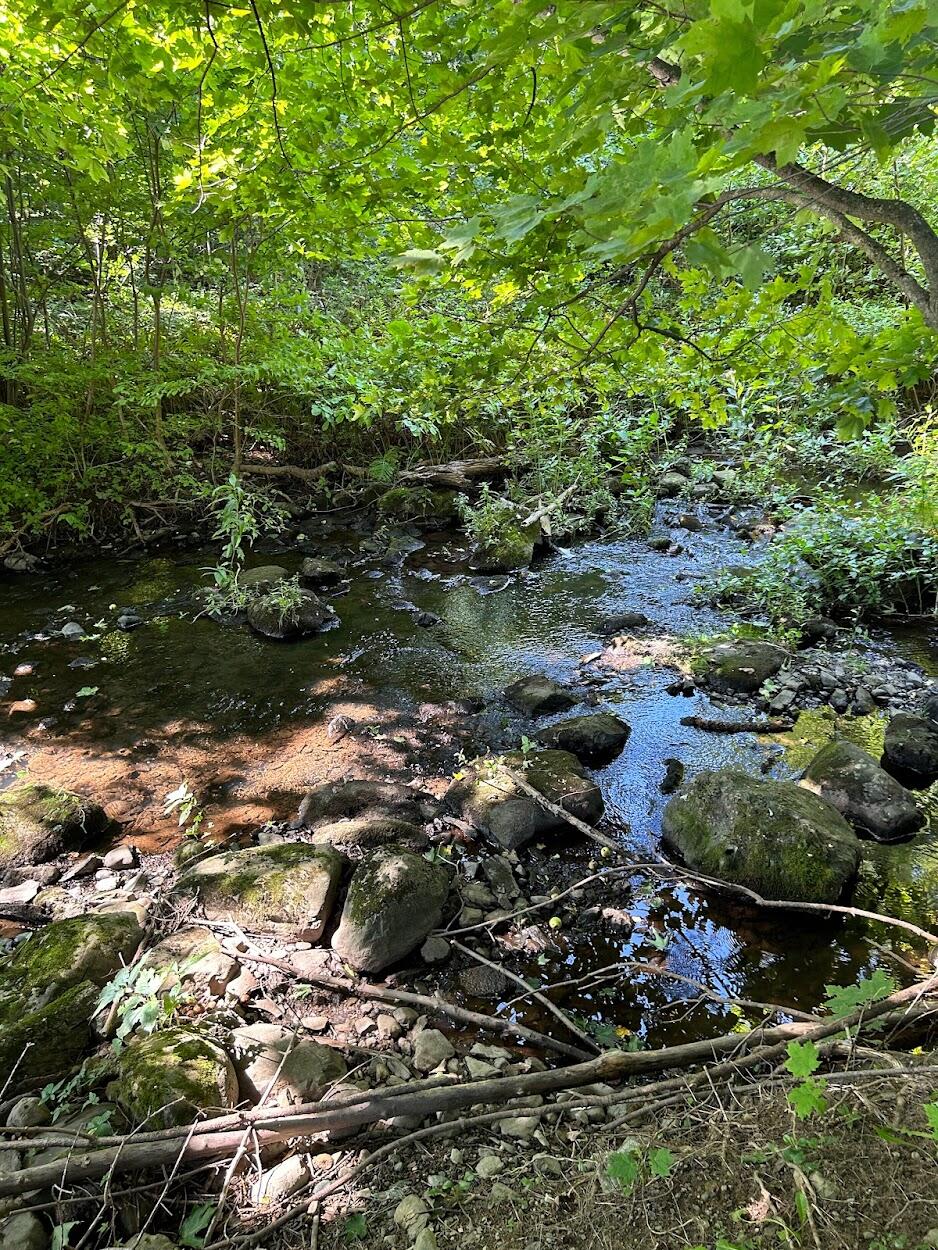 52 Gardner Street Patten, ME 04765 - Photo 4 of 26 IMG_9368