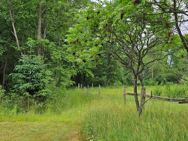 $429,900 | 3607 West Bawkey Road, Farwell, MI 48622