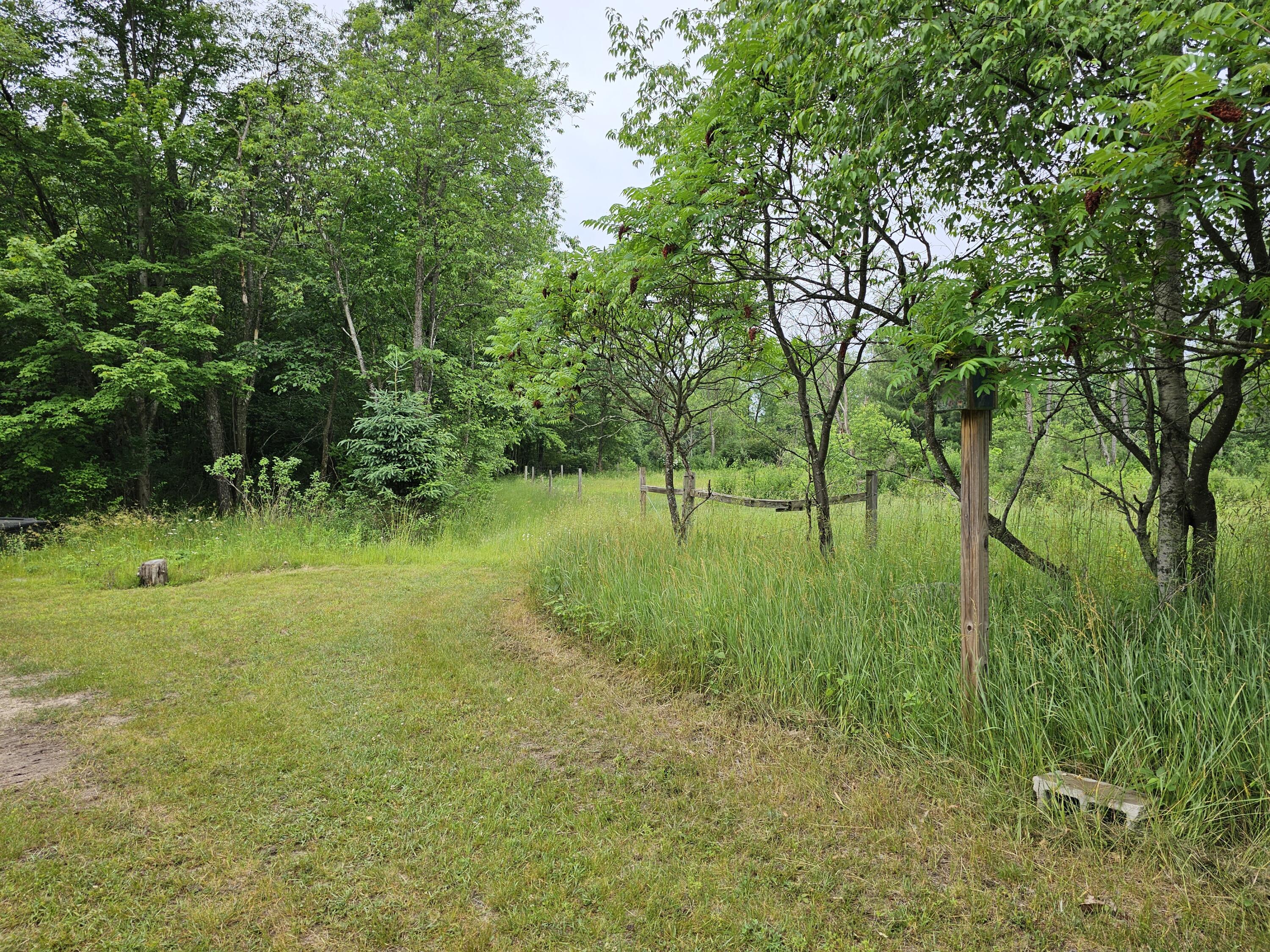 3607 West Bawkey Road Farwell, MI 48622 - Photo 26 of 61 1000010091